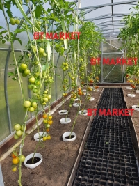 Plastmasas režģis siltumnīcai