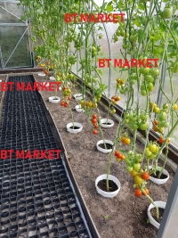 Plastmasas režģis siltumnīcai