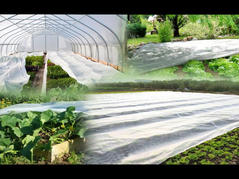 AGROPLĒVE (1.60 x 10m 35 g/m2) - Image 4